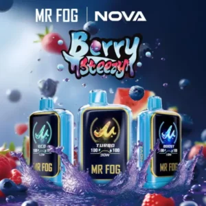 Mr Fog Nova Berry Steezy 36k Puffs - Disposable Vape