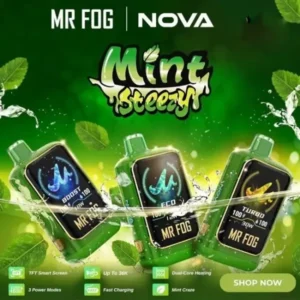 Mr Fog Nova Mint Steezy 36k Puffs - Disposable Vape