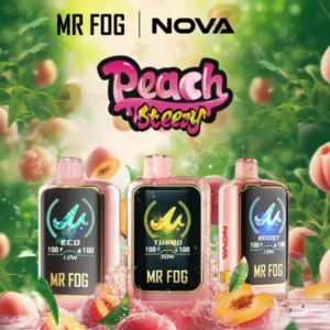 Mr Fog Nova Peach Steezy 36k Puffs - Disposable Vape